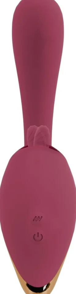 Online 2 Function Vibrator Seksuel Wellness