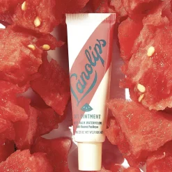 101 OINTMENT MULTIBALM WATERMELON-Lanolips New