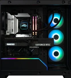 Shark Gaming Shark Gaming><noscript><img width=