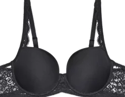 Amourette WP-Triumph