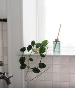 Skandinavisk Dufte Til Hjemmet>ARKTIS Scent Diffuser 200ml