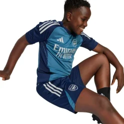ARSENAL TR SHORTS Børn Træningsshorts