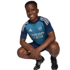 ARSENAL TR T-SHIRT-adidas Online