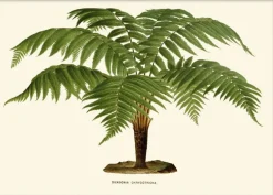 Poster & Frame Plakater & Rammer>Artimuus - Artimuus 102