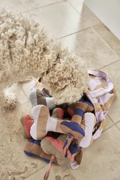 Best Ashi Hundelegetøj - Lille Til Boligens Kæledyr