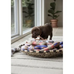 OYOY MINI Til Boligens Kæledyr>Ashi Hundelegetøj - Stor