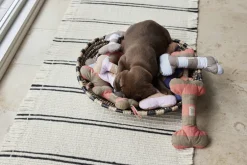 Ashi Hundelegetøj - Stor-OYOY MINI Best