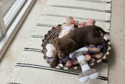 Ashi Hundelegetøj - Stor-OYOY MINI Best