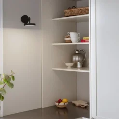 Asteria Spot-UMAGE Hot