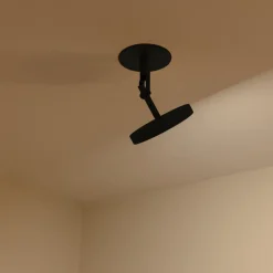 Asteria Spot-UMAGE Hot