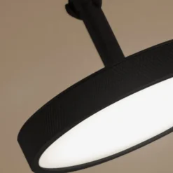 Asteria Spot-UMAGE Hot