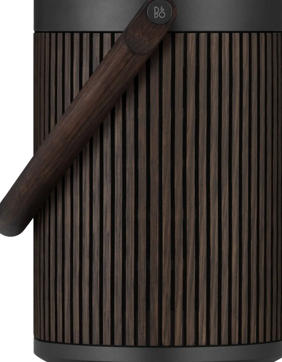 Bang & Olufsen Elektronik>Beosound A5