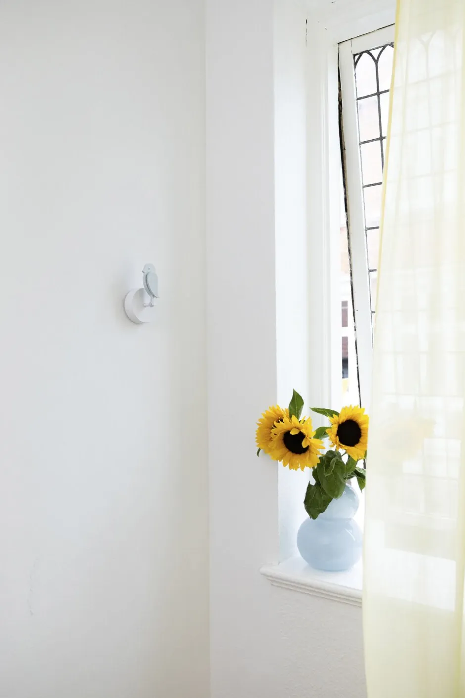 - Glacier-Birdie New