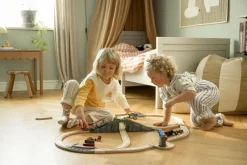 Starter Travel Train Set-Brio Clearance