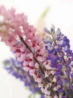 BUBBLE TUBE, LARGE, ROSE/ROSE, 90270R-Studio About Outlet