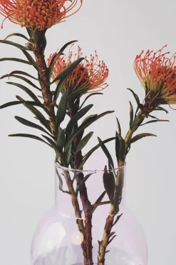 BUBBLE TUBE, LARGE, ROSE/ROSE, 90270R-Studio About Outlet