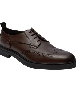 Calev_Derb_ltbrfb-BOSS