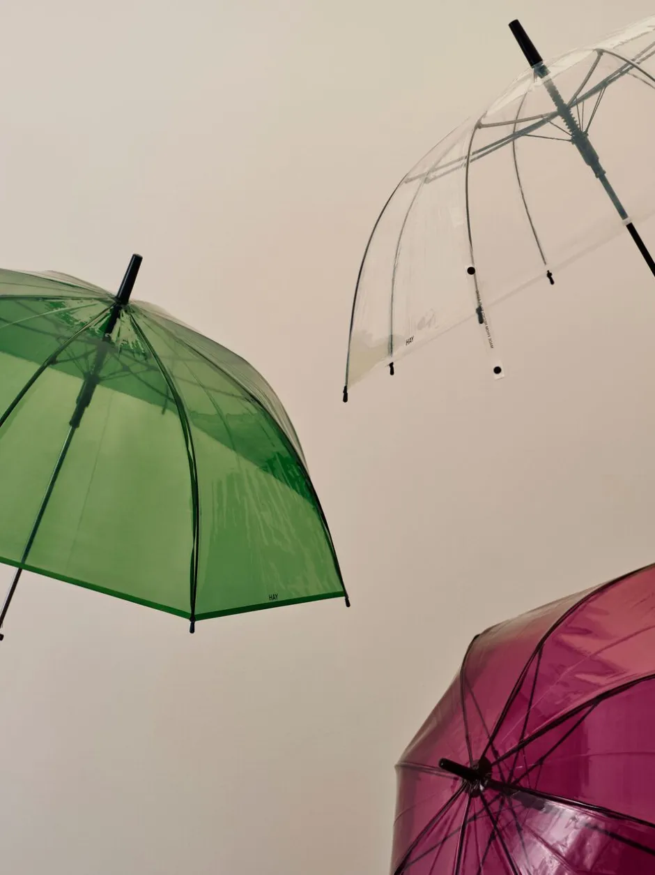 Canopy Umbrella-Hay Discount