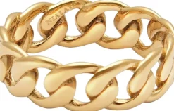 Chain Ring in-Nialaya Discount