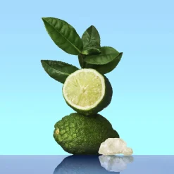 Calvin Klein Eau De Toilette|Dufte & Deodoranter><noscript><img width=