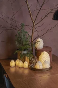 Clara Kogle-Sirius Best