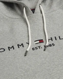 New CORE TOMMY LOGO HOODY Sweatshirts