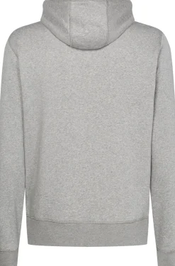 New CORE TOMMY LOGO HOODY Sweatshirts