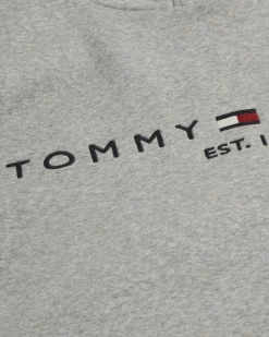 New CORE TOMMY LOGO HOODY Sweatshirts