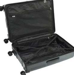 Crate EX Wildlife-EPIC New