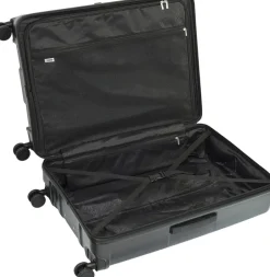 Crate EX Wildlife-EPIC New