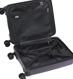 Crate EX Wildlife-EPIC