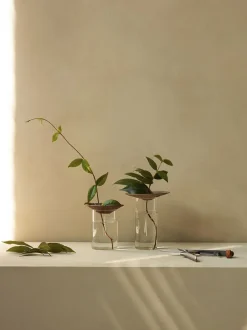 Clearance Cresco Propagation Vases, Set of 2 Vaser & Urtepotteskjulere