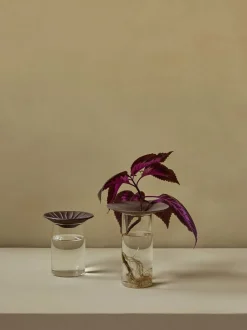 Clearance Cresco Propagation Vases, Set of 2 Vaser & Urtepotteskjulere