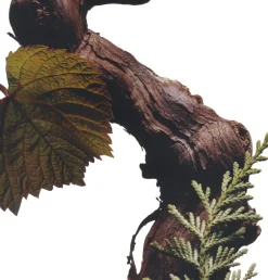 Best Cypres & Grapevine Cologne Intense Eau De Cologne|Dufte & Deodoranter