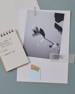 Bodyologist Deodoranter><noscript><img width=