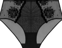 Dame Simone Pérèle Trusser>DEEP BRIEF