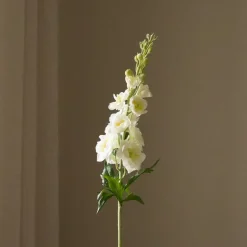 Delphinium Flower-Botané Online