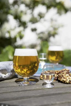 Det danske Glas Snapseglas klar 5,0 cl 2 stk.-Holmegaard Best