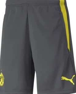 Puma Træningsshorts>Dortmund træningsshorts