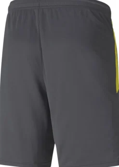 Puma Træningsshorts>Dortmund træningsshorts