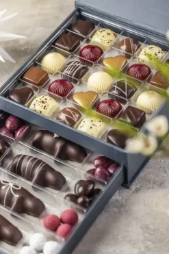 Xocolatl Søde Sager|Chokoladekurve>DRAWER BOX SELECTION