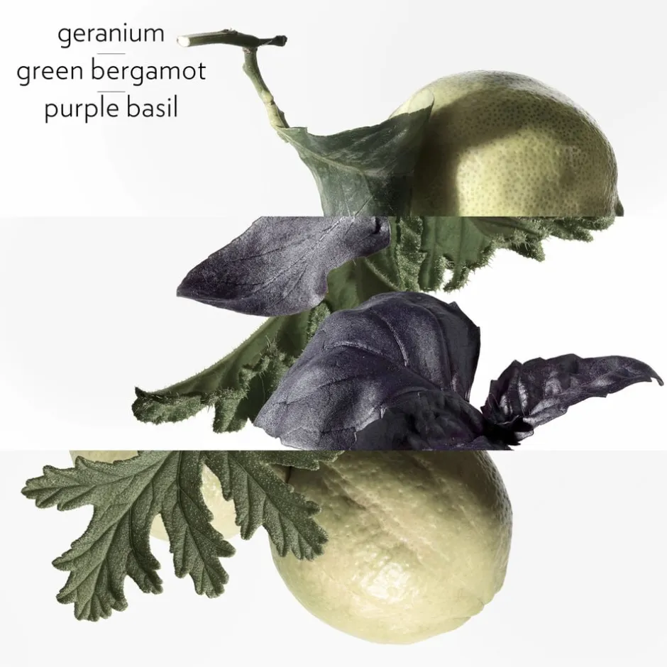 HERMÈS Eau De Cologne>**EAU DE BASILIC POURPRE NATURAL SP