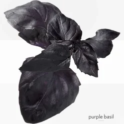 HERMÈS Eau De Cologne><noscript><img width=