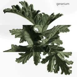 HERMÈS Eau De Cologne><noscript><img width=