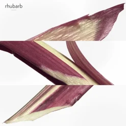 Eau De Rhubarbe Écarlate Eau de Cologne 200 ml-HERMÈS Hot