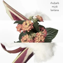 Eau De Rhubarbe Écarlate Eau de Cologne 200 ml-HERMÈS Hot