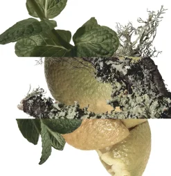 HERMÈS Eau De Cologne|Nicheparfumer><noscript><img width=