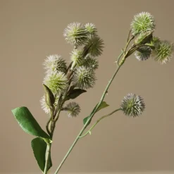 Best Echinops Ritro Thistle Ball Kunstige Blomster & Træer
