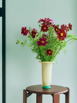 Hay Vaser & Urtepotteskjulere><noscript><img width=