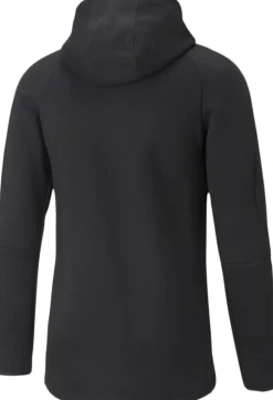 Puma Trøjer & Sweatshirts>Evostripe hættetrøje